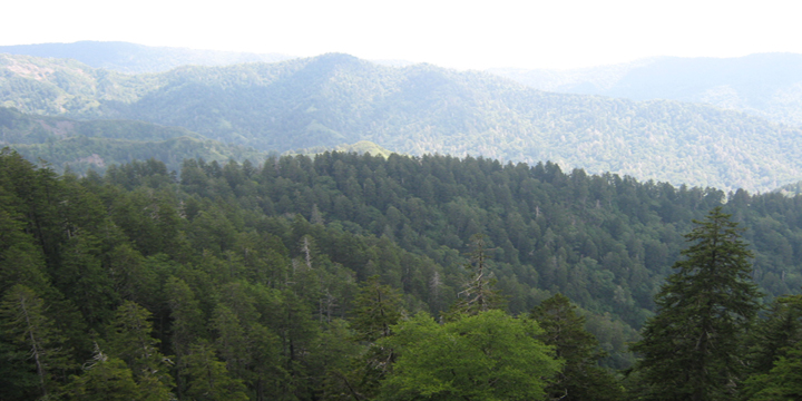 GSMNP